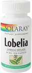 Lobelia